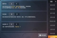 和平精英里开外挂怎么开（和平精英里面开外挂要怎么开）