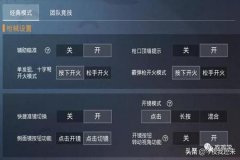 和平精英里的优秀辅助有哪些（和平精英辅助都有哪些）