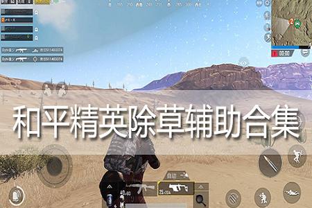 和平精英怎样弄辅助圈队友(和平精英辅助队友思路) 和平精英怎样弄辅助圈队友(和平精英辅助队友思路)