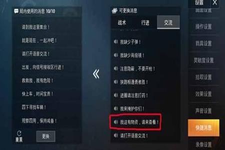 和平精英如何看外挂战绩（和平精英如何查看外挂的人）