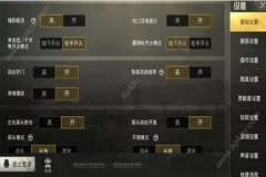 怎么开和平精英里面的外挂（怎么到和平精英设置里面开外挂）