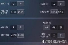 开外挂了还怎么登陆和平精英（开外挂的设置和平精英）