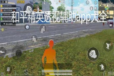 和平精英里面的辅助怎么弄(和平精英里面辅助怎么打开) 和平精英里面的辅助怎么弄(和平精英里面辅助怎么打开)