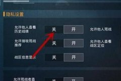 如何在和平精英里开外挂教程（如何才能在和平精英开外挂）