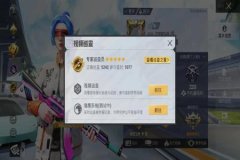 如何破解和平精英辅助（和平精英实用辅助）
