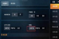 设置里什么东西能辅助和平精英（功能设置和平精英）