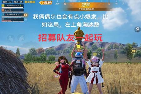 和平精英至尊pro多功能辅助(和平精英辅助多功能) 和平精英至尊pro多功能辅助(和平精英辅助多功能)