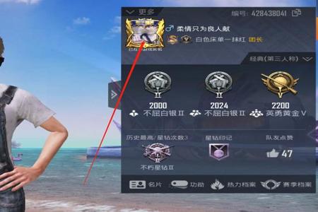 和平精英怎么打开辅助点(和平精英怎么开辅助教程) 和平精英怎么打开辅助点(和平精英怎么开辅助教程)