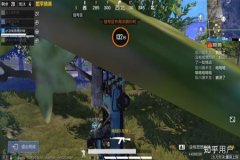 玩和平精英遇到外挂的吗（玩和平精英碰到外挂）