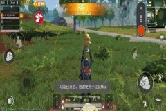 和平精英鸡腿辅助已经没有了吗（和平精英大鸡腿辅助）