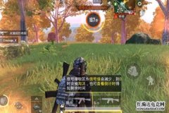 怎么查找和平精英外挂（和平精英外挂范围）