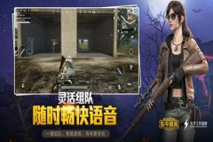 皮卡丘和平精英辅助怎么用（皮卡丘和平精英辅助）