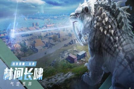 辅助打野和平精英怎么玩(手把手教和平精英怎么玩) 辅助打野和平精英怎么玩(手把手教和平精英怎么玩)