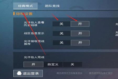 团队竞技在和平精英里怎么开外挂（怎么样在和平精英里开外挂）