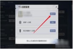 淘宝买和平精英辅助如何用（淘宝和平精英游戏辅助）