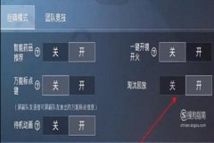 怎么看别人有没有外挂和平精英（和平精英查看别人有没有外挂）