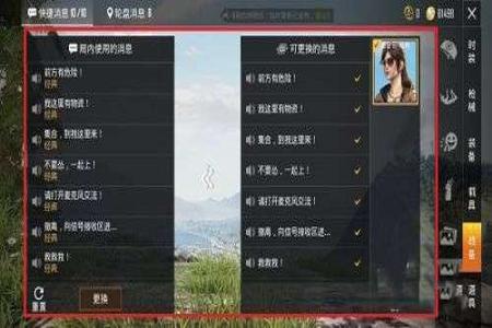 和平精英里面在哪查看外挂（和平精英查看外挂）
