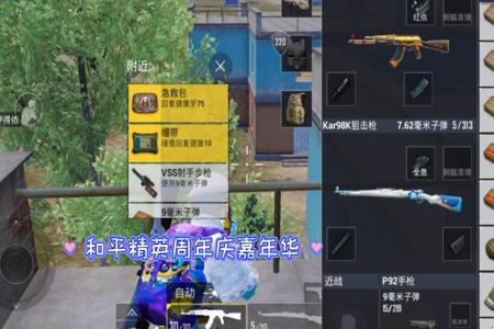 和平精英里面的外挂有多少（和平精英里的各种外挂）