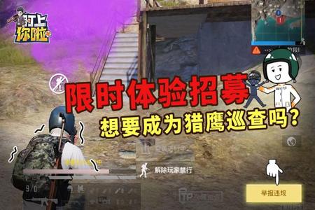 和平精英猎鹰巡查员外挂越来越多(和平精英猎鹰巡查找不到外挂) 和平精英猎鹰巡查员外挂越来越多(和平精英猎鹰巡查找不到外挂)