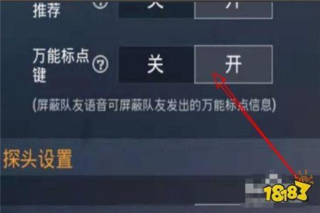 和平精英有什么辅助器可以开(和平精英辅助器怎样开) 和平精英有什么辅助器可以开(和平精英辅助器怎样开)