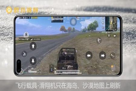 和平精英辅助一般在哪设置(和平精英辅助跟随在哪里设置) 和平精英辅助一般在哪设置(和平精英辅助跟随在哪里设置)