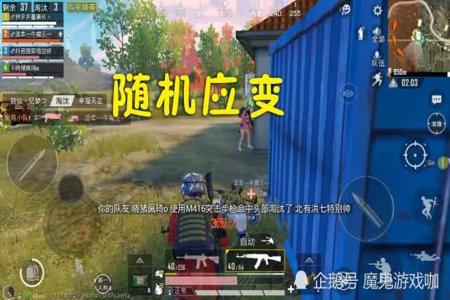 和平精英打野辅助出什么装备(和平精英打野点出什么装备) 和平精英打野辅助出什么装备(和平精英打野点出什么装备)