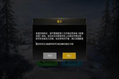 怎么开透视外挂和平精英（开外挂怎么开和平精英）