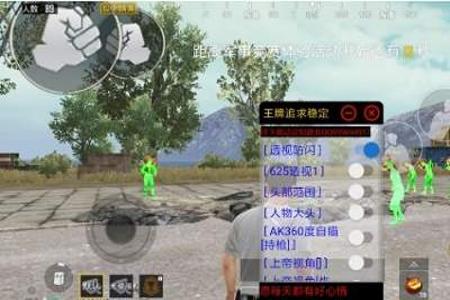 和平精英手机上准星辅助在哪里（和平精英准星辅助在哪开）