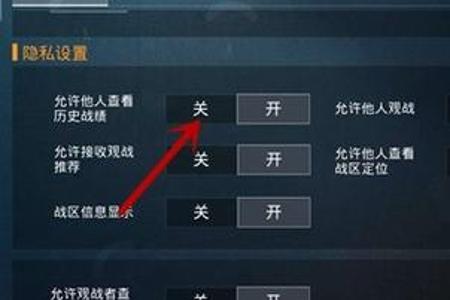 怎么样能开和平精英外挂（怎么样在和平精英里开外挂）